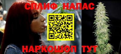 PSILOCYBIN Кунгур