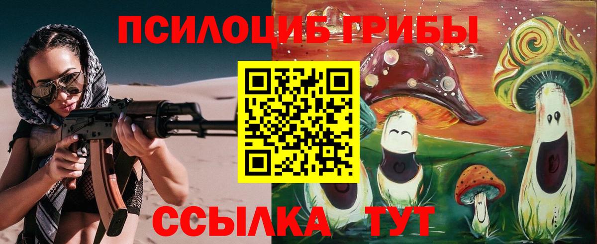 Егорьевск  Галлюциногенные грибы Magic Shrooms  Вход с VPN 