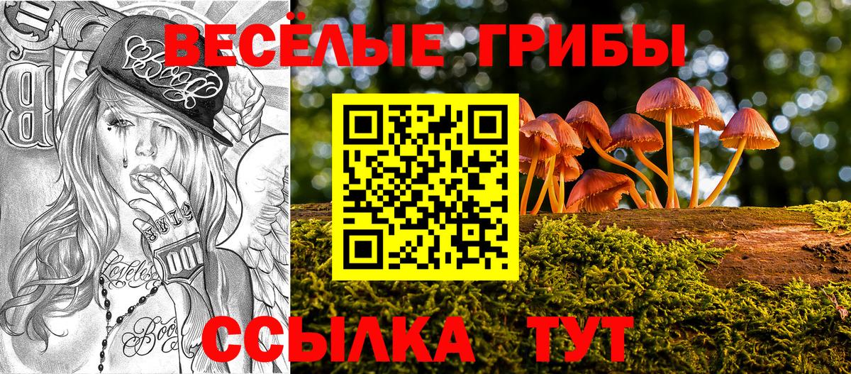 Галлюциногенные грибы Magic Shrooms Егорьевск